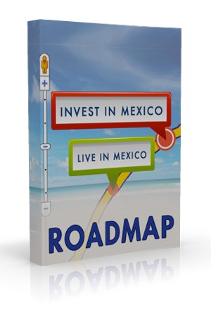 How You Can Start & Succeed in Owning Mexico