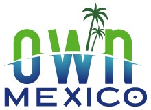 How We Started & Succeeded in Owning Mexico